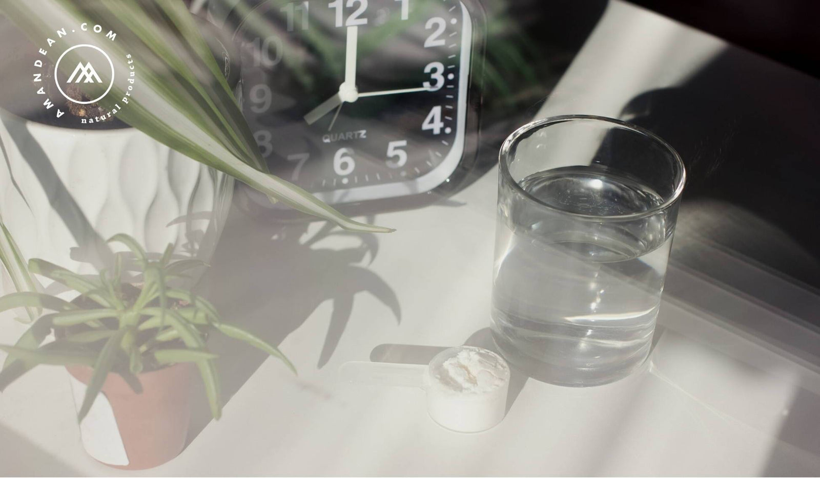 Autophagy Fasting and collagen: A new way of intermittent fasting