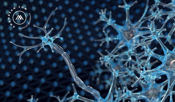 glutathione autoimmune disease Why do we treat autoimmune hepatitis with immunomodulators?