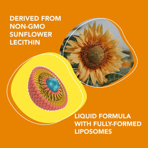 Premium Liposomal Vitamin C (6oz) - Liquid Formula Amandean