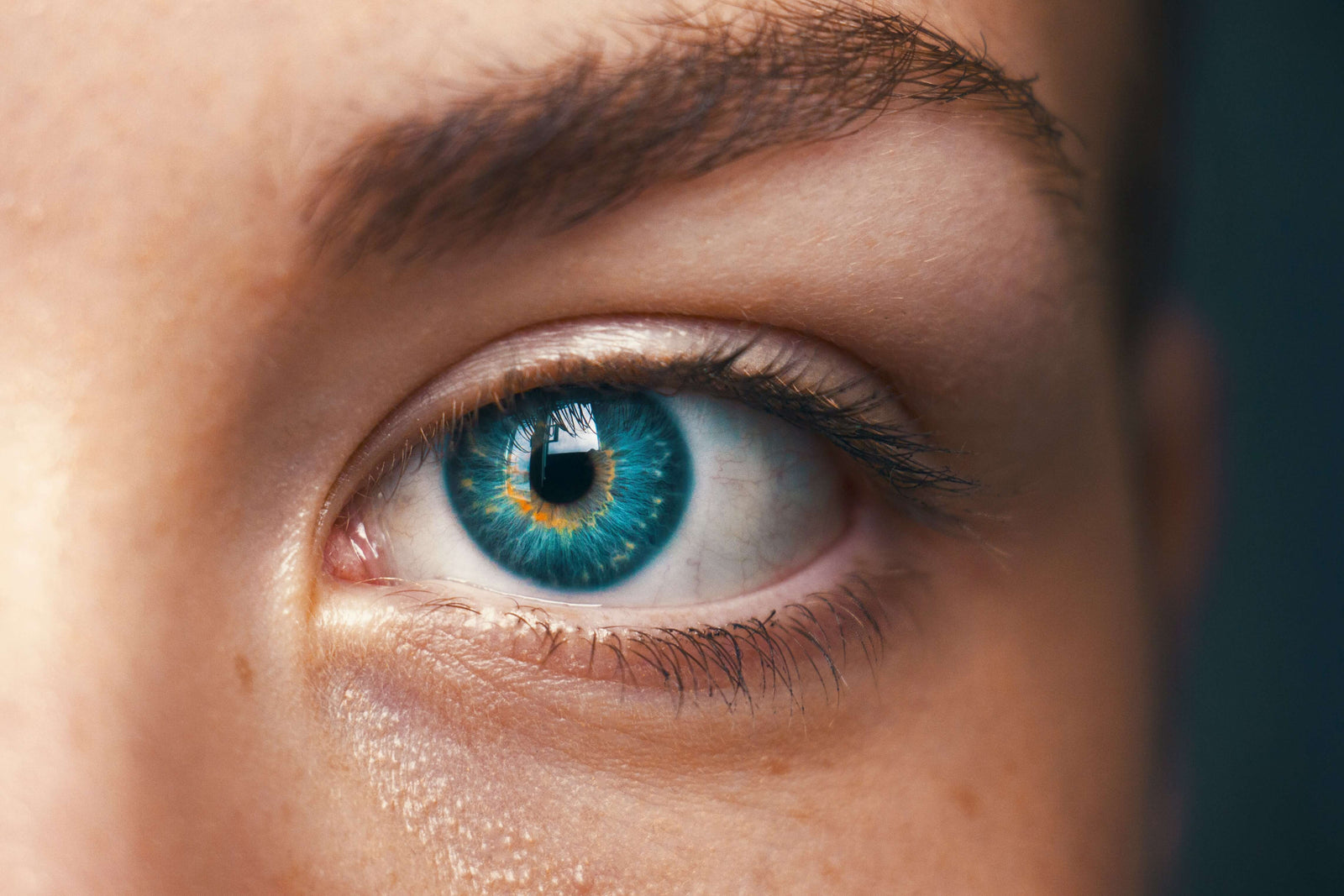 DHA and Eye Health: Why Omega-3s Matter for Your Retina