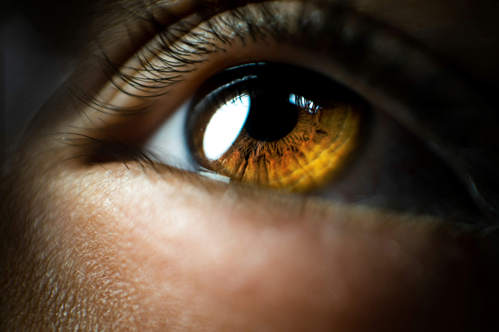 Best Vegan Eye Supplements: What to Look For