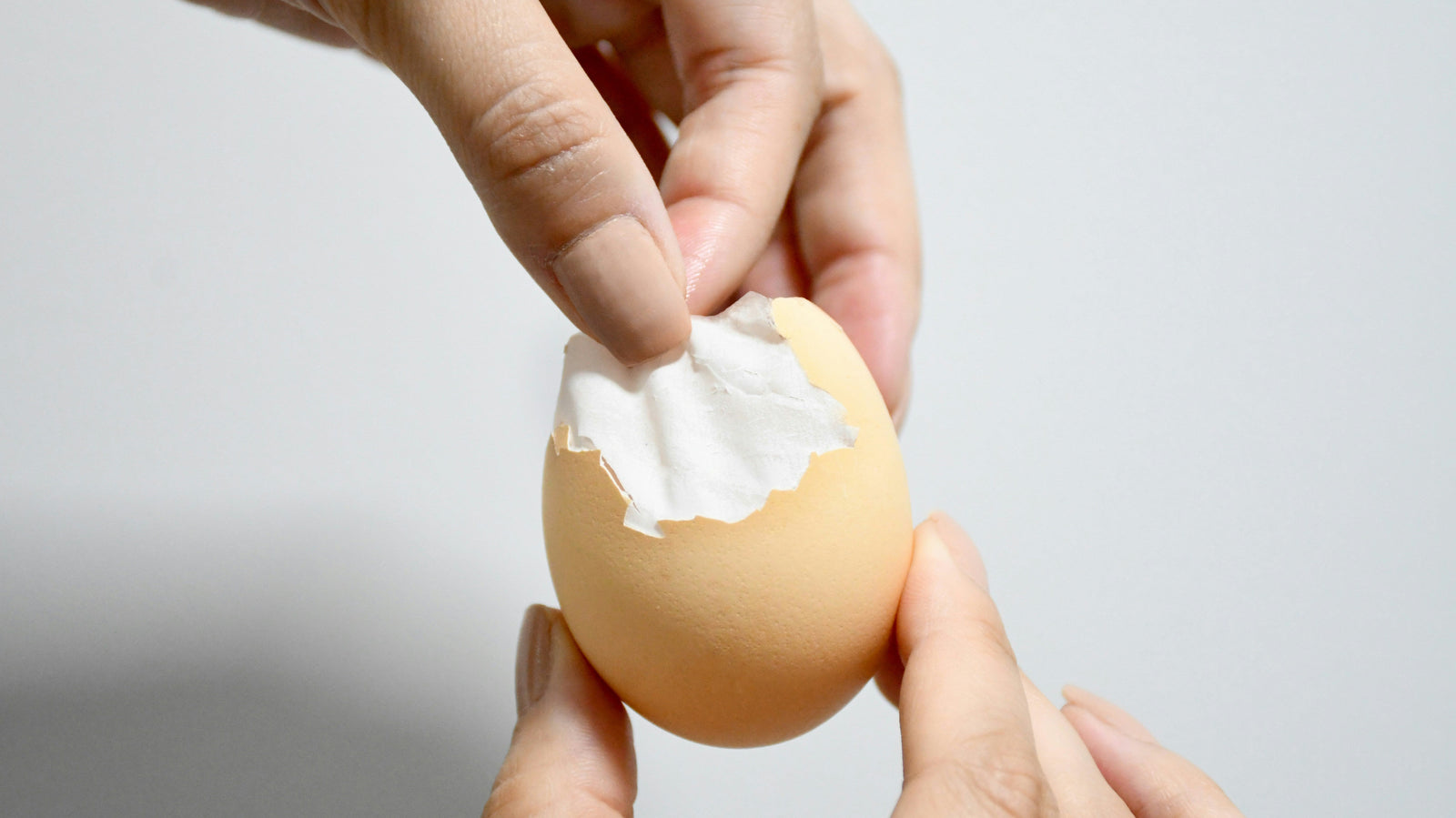 Eggshell Membrane Collagen: What It Is and How It's Different