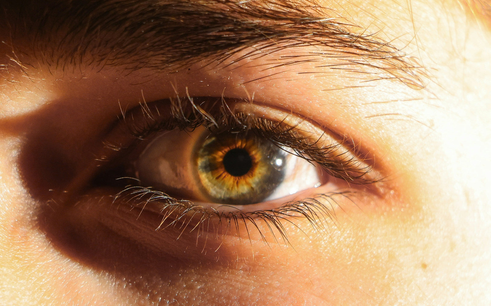 Eye Vitamins Without Zinc: Who They're For and Why They Exist