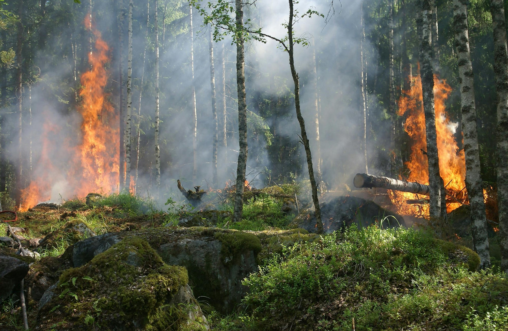 Effects of Smoke Exposure From Wildfires: Liposomal Vitamin C for Detox