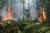 Effects of Smoke Exposure From Wildfires: Liposomal Vitamin C for Detox