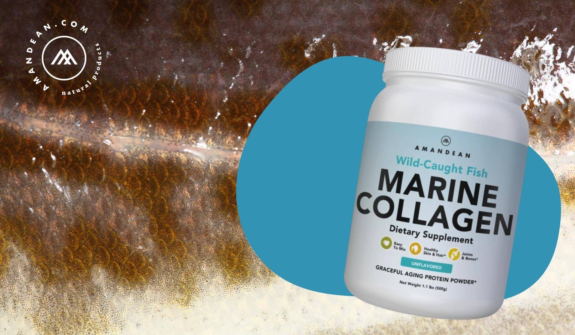 Does Marine Collagen Come From Fish Scales or Skin?
