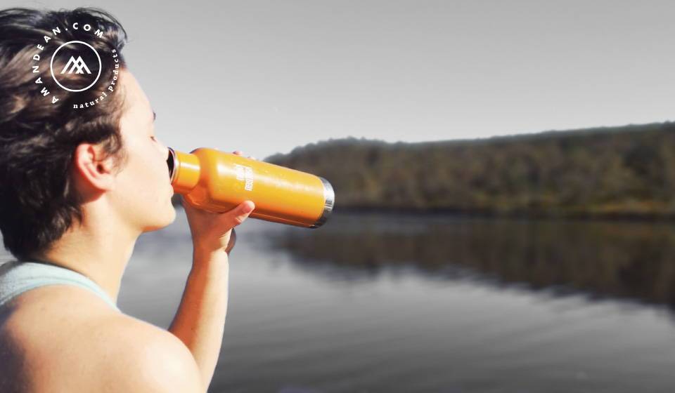 Reset and Detox with Liposomal Glutathione - Amandean