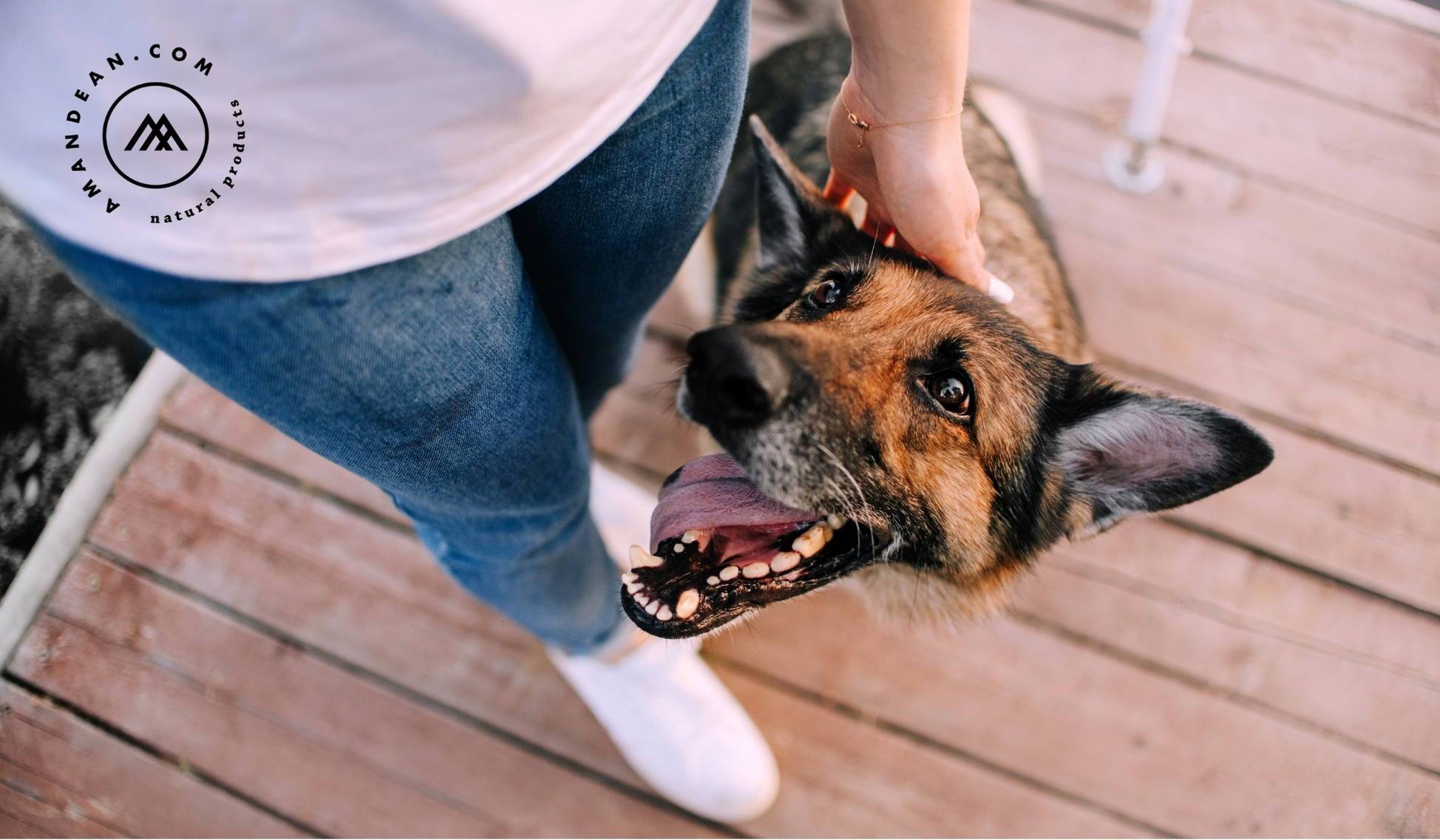 Can Collagen Benefit Pets?