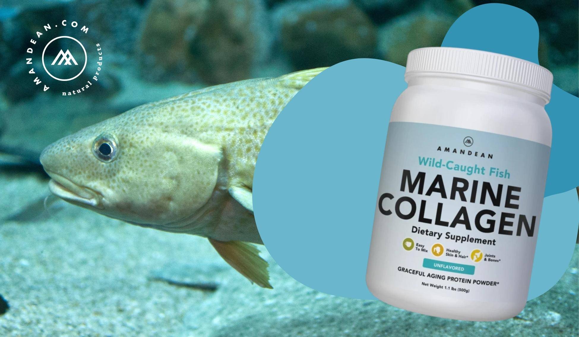 Can I Get Heavy Metal Poisoning From Marine Collagen?