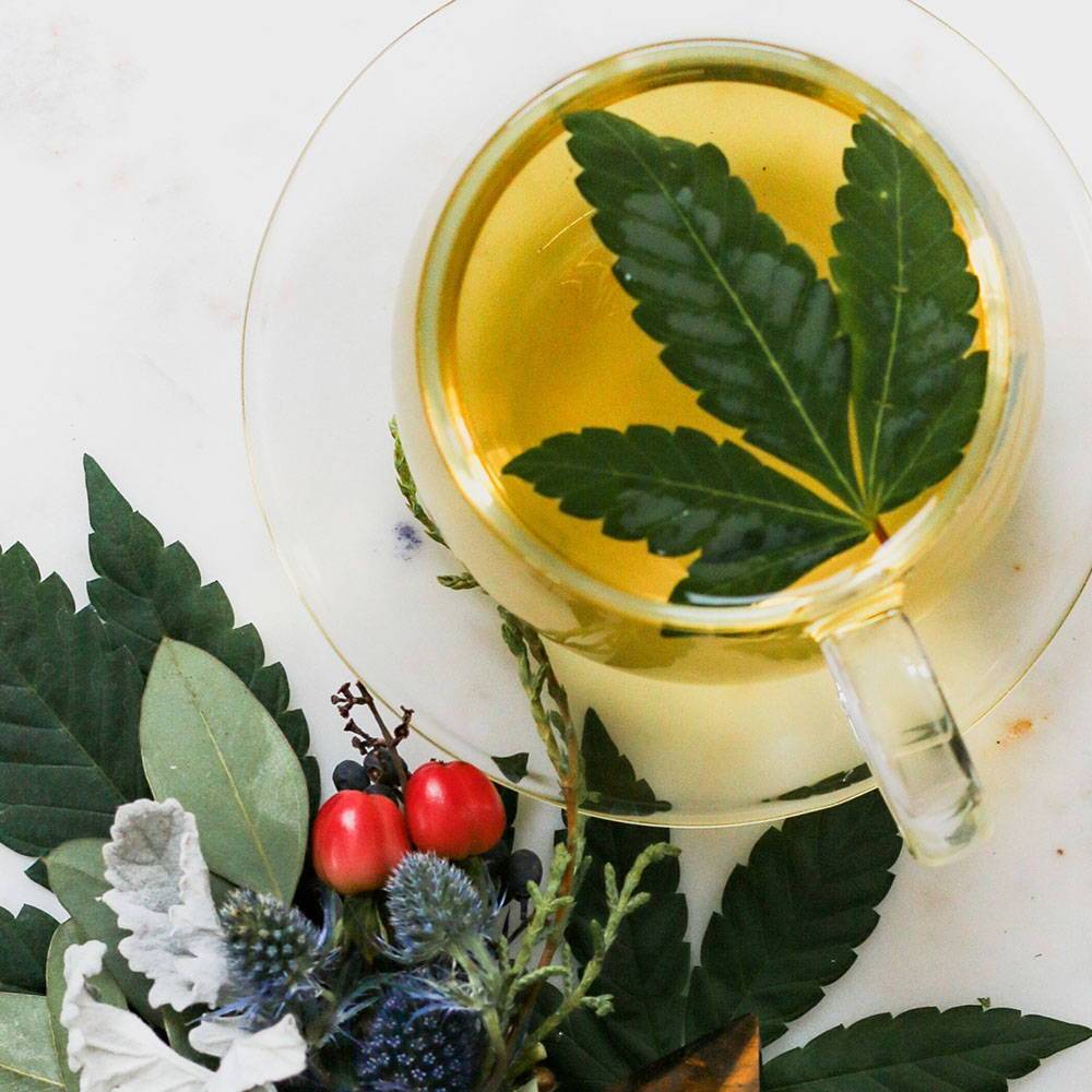 CBD & Collagen Is The New Bulletproof Coffee