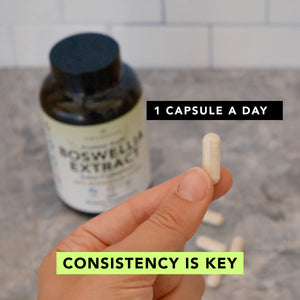 Premium Boswellia Serrata Extract (500mg)