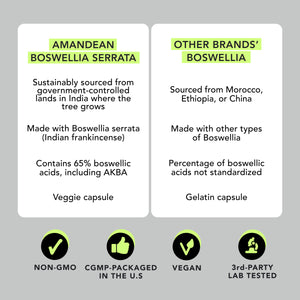 Premium Boswellia Serrata Extract (500mg)