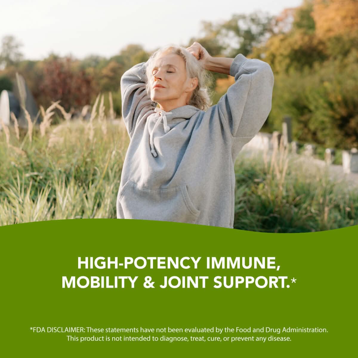 Premium Boswellia Serrata Extract (500mg) Boswellia Extract Amandean 