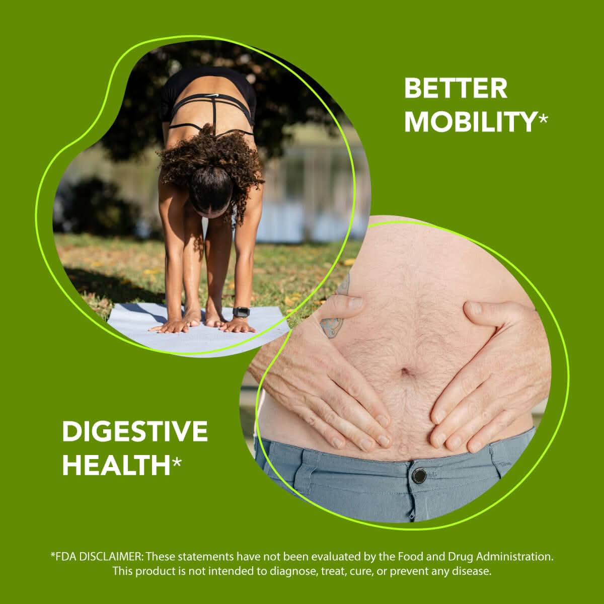 Premium Boswellia Serrata Extract (500mg) Boswellia Extract Amandean 