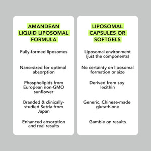 Super Antioxidant Liposomal Glutathione
