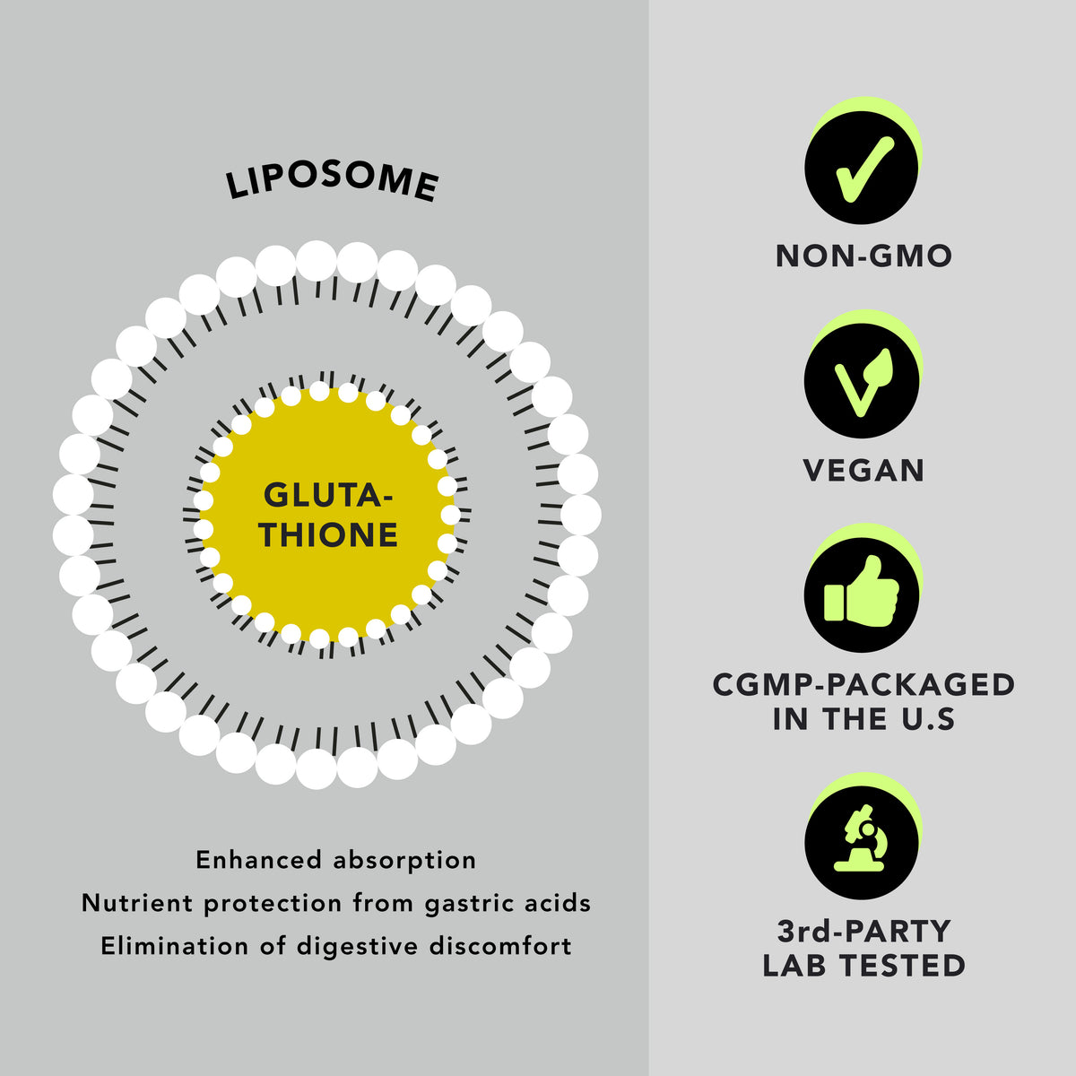 Super Antioxidant Liposomal Glutathione