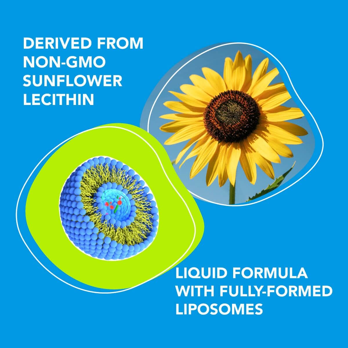 Premium Reduced Liposomal Glutathione (4oz) - The Body&#39;s Master Antioxidant Amandean 