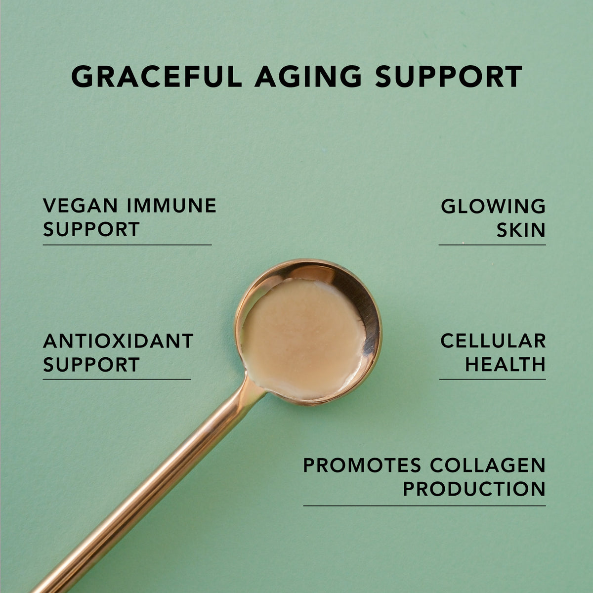 Premium Liposomal Vitamin C (6oz) - Liquid Formula