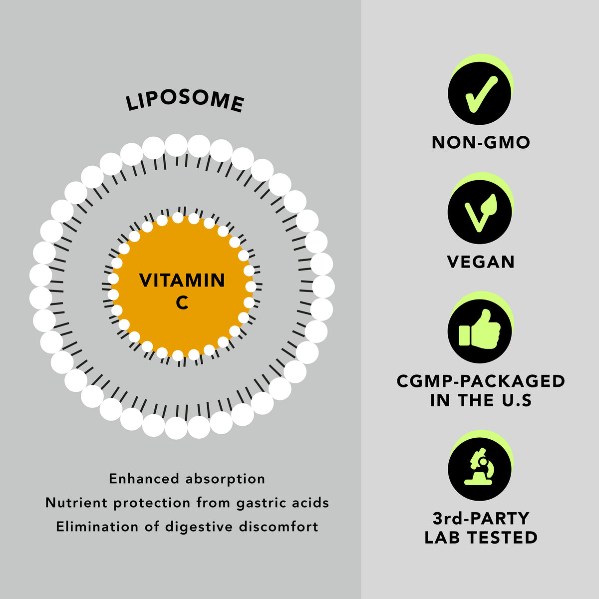Premium Liposomal Vitamin C (6oz) - Liquid Formula