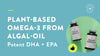 Vegan Omega-3 (DHA + EPA) 500mg Capsules Amandean 120 count, 60 count
